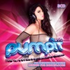 Pump It, Vol. 11 (Mixed by Sarah Robertson, Queen Victoria & Technoposse) [World Edition]