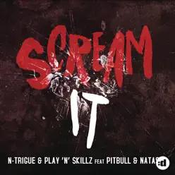 Scream It (feat. Pitbull & Natasha) [Remixes] - EP - Play-N-skillz