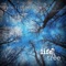 If Only Trees Could Speak - Life in a Tree lyrics