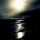 Intimate Vihuela artwork