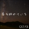 SEITA - 星を眺めている