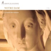 Notre-Dame: Kyrie IX artwork