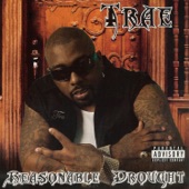 Wasted by TRAE THA TRUTH