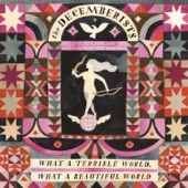 What a Terrible World, What a Beautiful World cover