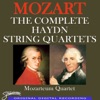 Mozart: The Complete Haydn String Quartets artwork