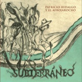 Patricio Hidalgo y el Afrojarocho - Qué Viva el Fandango