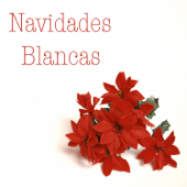 Navidades Blancas - Various Artists