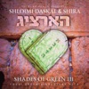 Shloime Daskal - Tekah