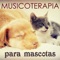 Jugar Contigo - Musicoterapia lyrics