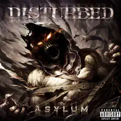 Asylum Song Lyrics