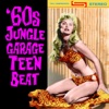 60s Jungle Garage Teen Beat, 2010