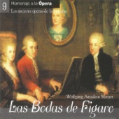 Las Bodas de Figaro - Wolgang Amadeus Mozart artwork
