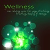 Wellness – Zen Relaxing Music for Yoga, Stretching, Breathing, Sleeping & Massage, 2015