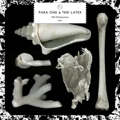 5th Dimension - Single - Teki Latex