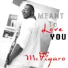 Meant to Love You - Single album lyrics, reviews, download