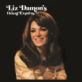 Liz Damon's Orient Express - You're Falling In Love