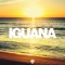 Iguana (Nicolas De Andra Remix) - Bsharry lyrics