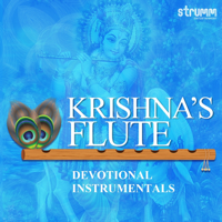 Dr. Ramachandra Murthy, Phani Narayana & Sai Madhukar - Govind Bolo - Shri Krishna Govind (Instrumental) artwork