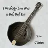 I Wish My Love Was a Red, Red Rose - Single album lyrics, reviews, download