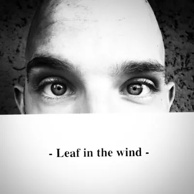 Leaf in the Wind - Single - Bigo