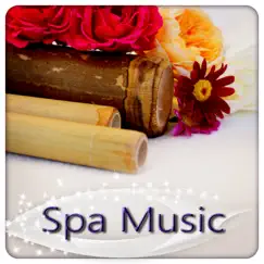 Spa Music for Massage Relaxation, Healing Meditation, Wellness Beauty, Yoga Practice, Deep Sleep and Well Being by Spa Music Zone album reviews, ratings, credits