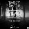 Slender (Besnine Remix) - Single album lyrics, reviews, download