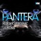 Pantera - RafaeL Starcevic & LiuRosa lyrics