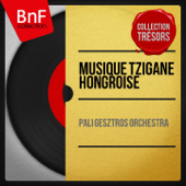 Musique tzigane hongroise (version stéréo) - Pali Gesztros Orchestra