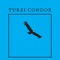 Condor (Matias Aguayo Version) - Turzi lyrics