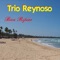 Lucero De La Mañana - Trio Reynoso lyrics