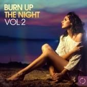 Burn up the Night, Vol. 2 artwork