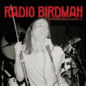 Radio Birdman - New Race