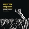 Cigarette Daydreams by Cage The Elephant iTunes Track 3