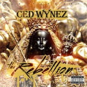 No Time by Ced Wynez