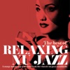 The Best of Relaxing Nu Jazz (Lounge Music Top Selection from the Classic Nu Jazz Standards)