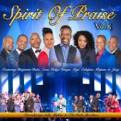 Spirit of Praise, Vol. 5 artwork