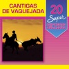 20 Super Sucessos: Cantigas de Vaquejada, 2014