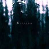 Blossom artwork