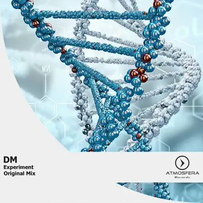 Experiment - Single - DM
