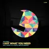 Stream & download I Got What You Need