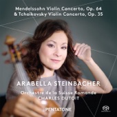 Violin Concerto in E Minor, Op. 64, MWV O 14: II. Andante - artwork