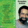 Grandes Exitos Andy Montañez