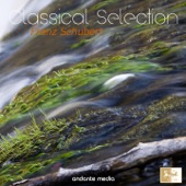 String Quartet No. 1 in C Minor, D. 18: I. Andante - Presto vivace artwork