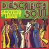 Descarga Soul, 2007