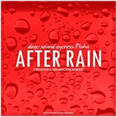 After Rain (5 Reasons Remix) [feat. Raha] artwork