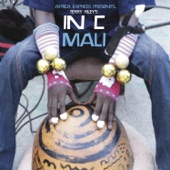 Africa Express Presents... Terry Riley's In C Mali artwork