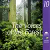 The Voices of the Forest (Les voix de la forêt) album lyrics, reviews, download
