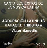 Instrumental Karaoke Series: Victor Manuelle, Vol. 3 (Karaoke Version)