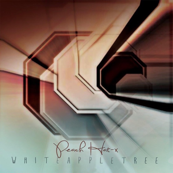 Cover artwork for Circles