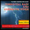 Nature Sounds for Sleep: Torrential Rain and Hurricane Winds: Bonus Edition album lyrics, reviews, download